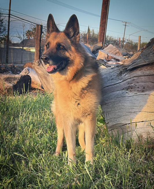 Campaign cover image for SPONSOR ME - PUMA