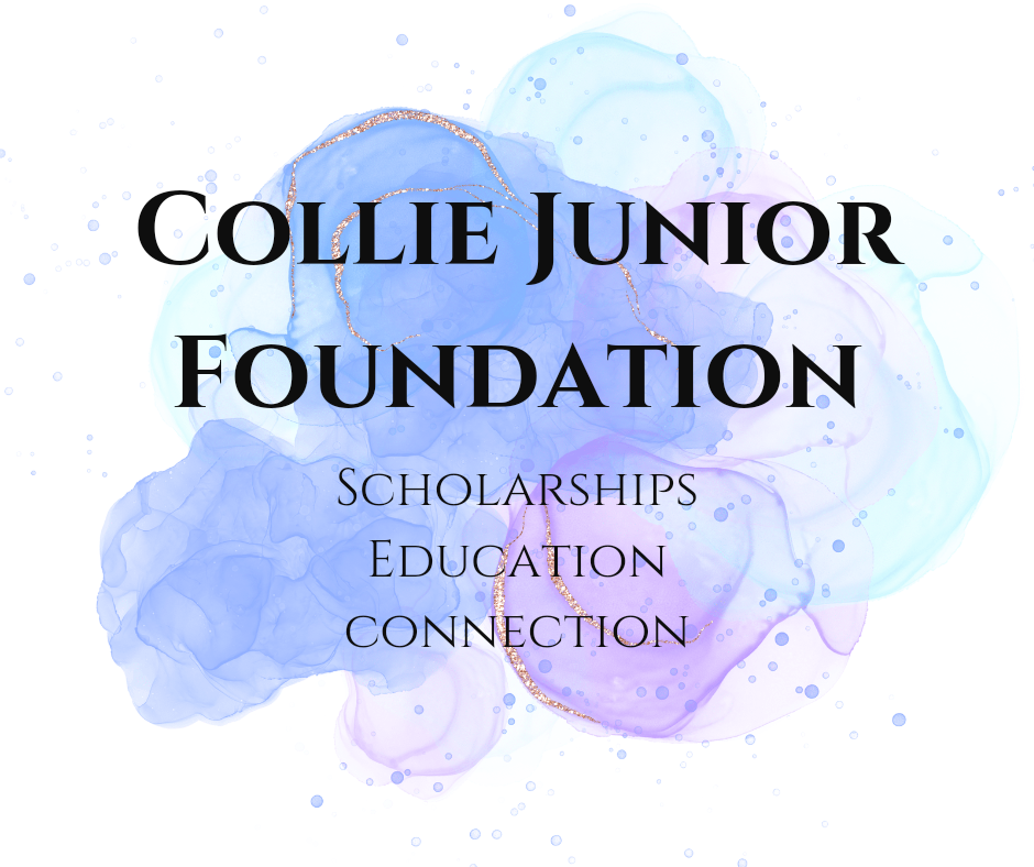 Campaign cover image for FUND OUR FUTURE JUNIORS