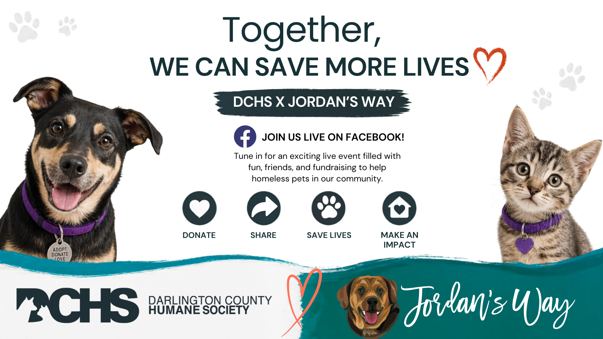 Campaign cover image for Help Save Darlington’s Homeless Pets Live with Jordan’s Way