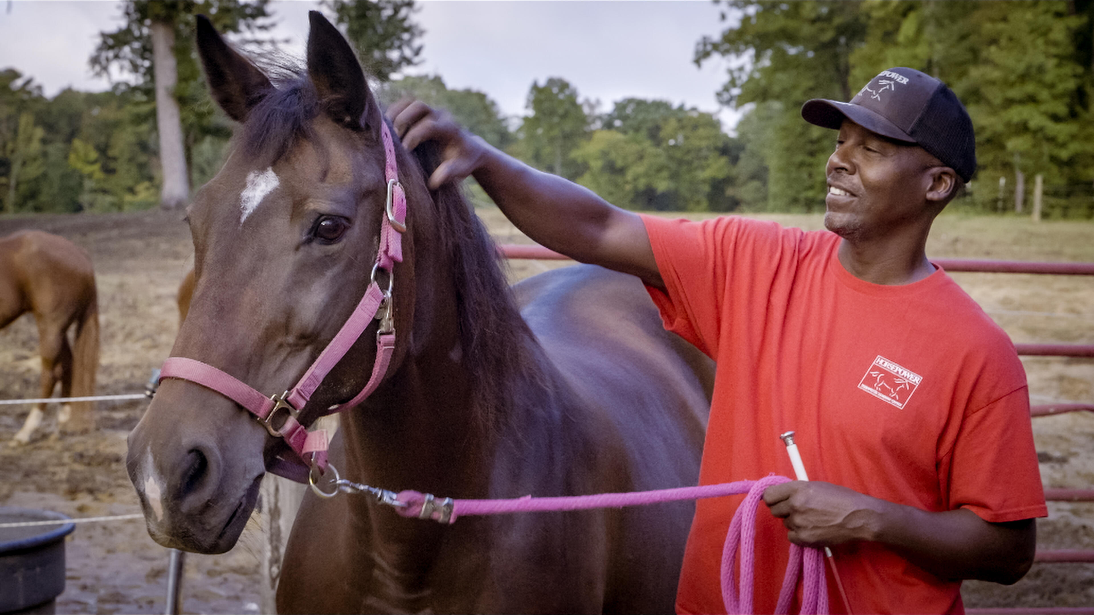 Campaign cover image for Horsemanship Clinic- Mike Foster