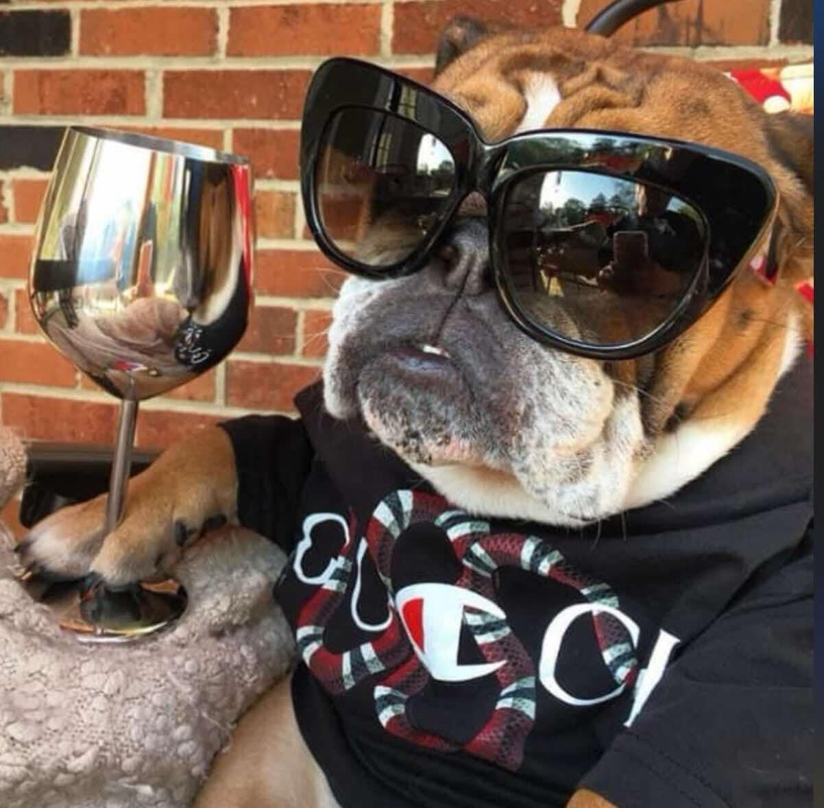 Campaign cover image for 10k for 10 years of Darlin Clementine