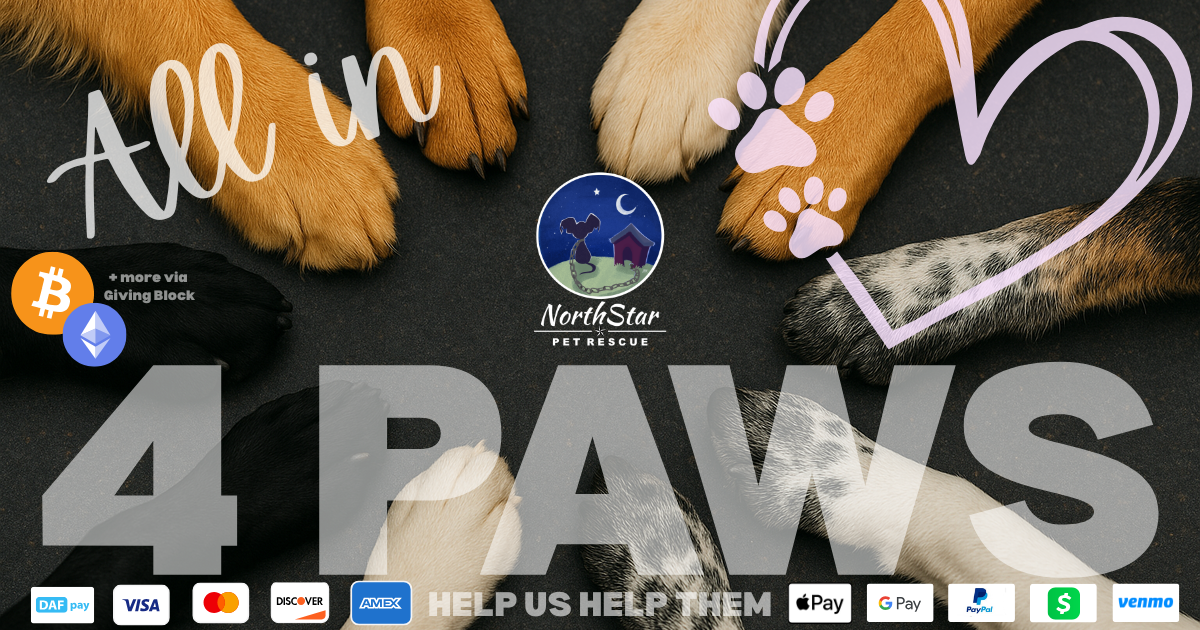 Campaign cover image for All in 4 Paws