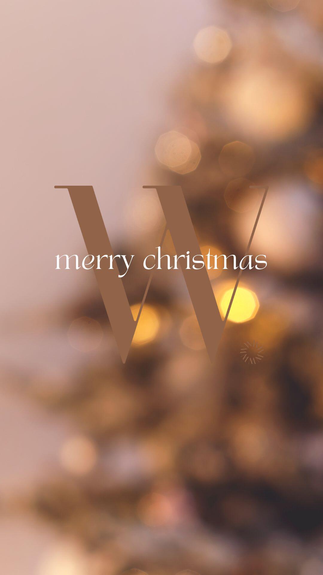 Campaign cover for THE WELL Holiday Toy Drive 2025