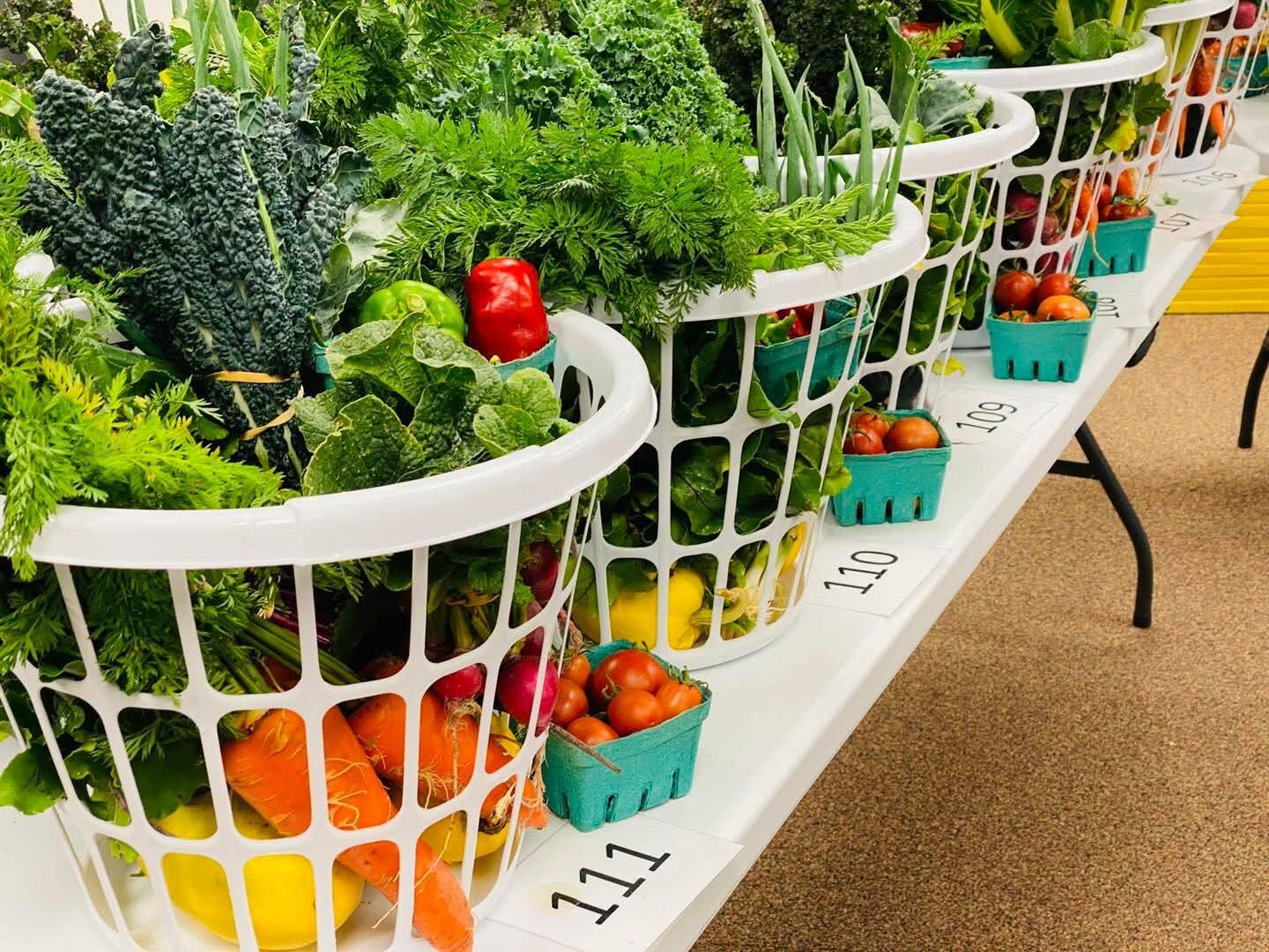 Campaign cover image for SNAP/WIC Veggie Baskets