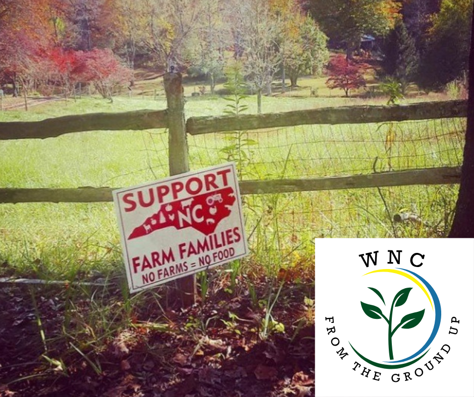 Campaign cover image for Keeping Farmers Farming. Local Food for All.