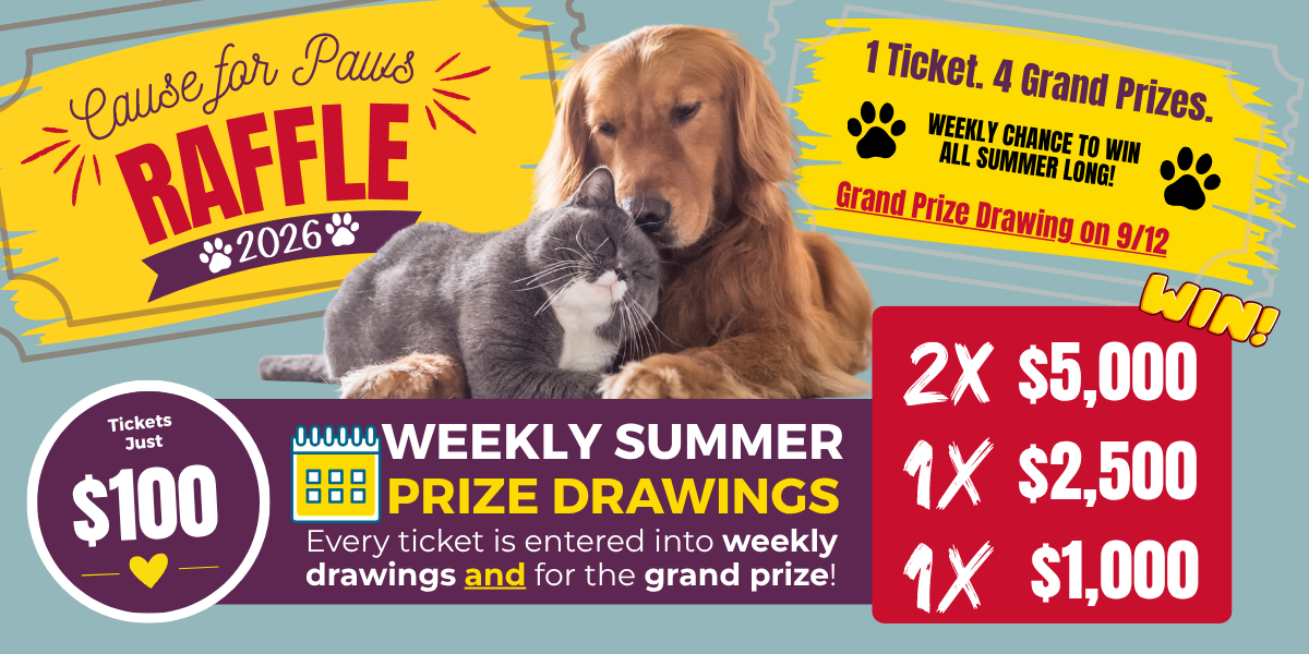 Campaign cover image for Cause for Paws Raffle 2026