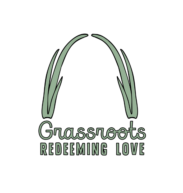 Campaign cover image for Love on Lockwood: A Tornado Relief Party for North St. Louis