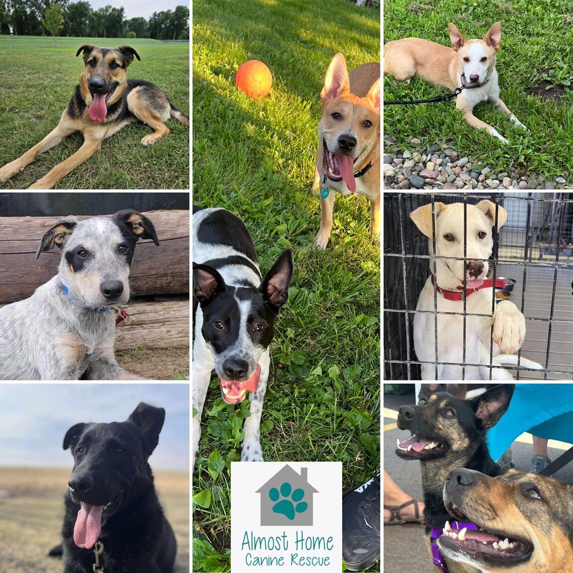 Campaign cover image for Become an AHCR Business Sponsor