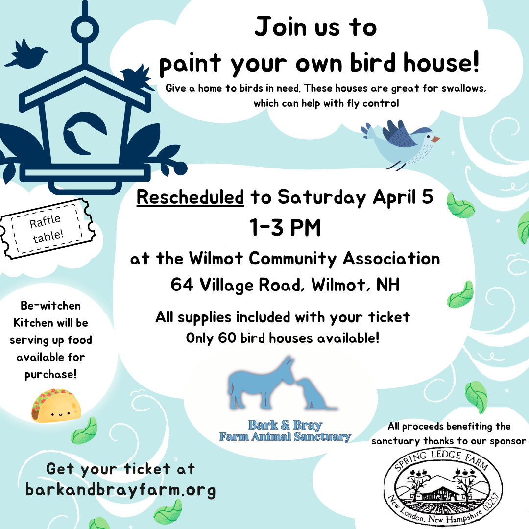 Campaign cover image for Paint Your Own Bird House