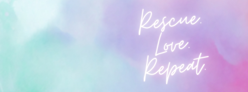 Campaign cover image for Morty the Misfit