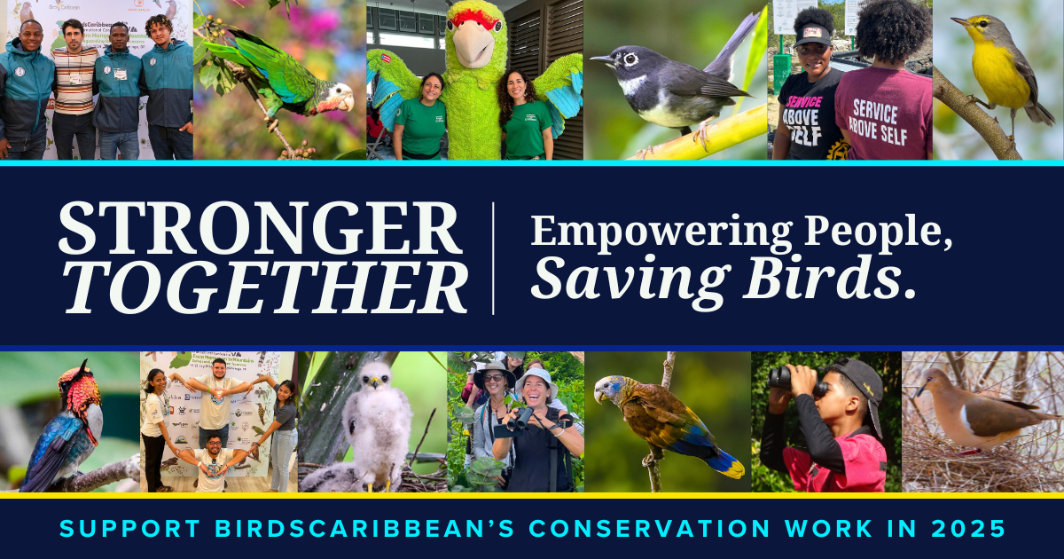 Campaign cover image for Help Caribbean Birds Thrive in 2025 - We're Stronger Together!