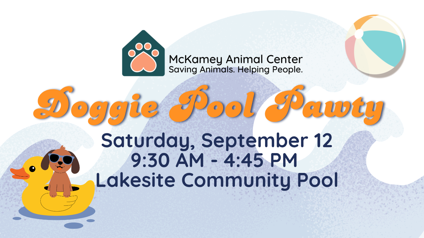 Campaign cover image for 2026 MAC Doggie Pool Pawty