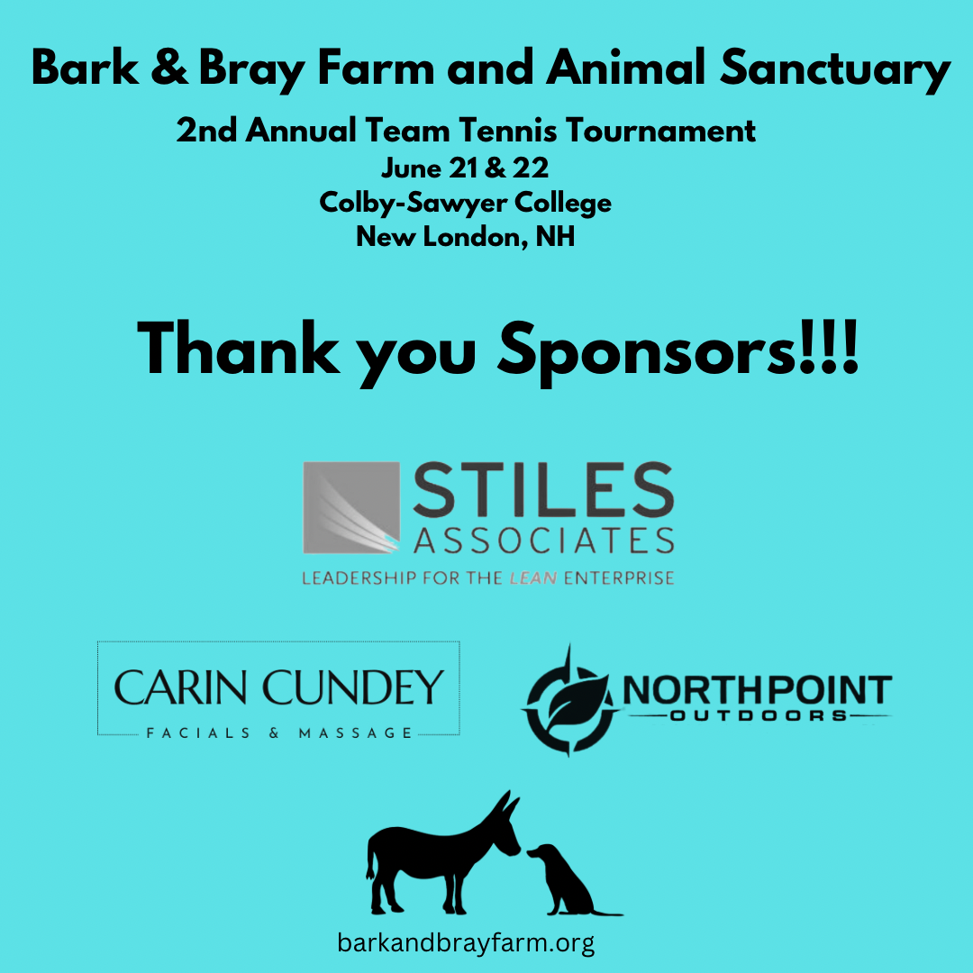 Campaign cover image for Team Tennis Fundraising 2025