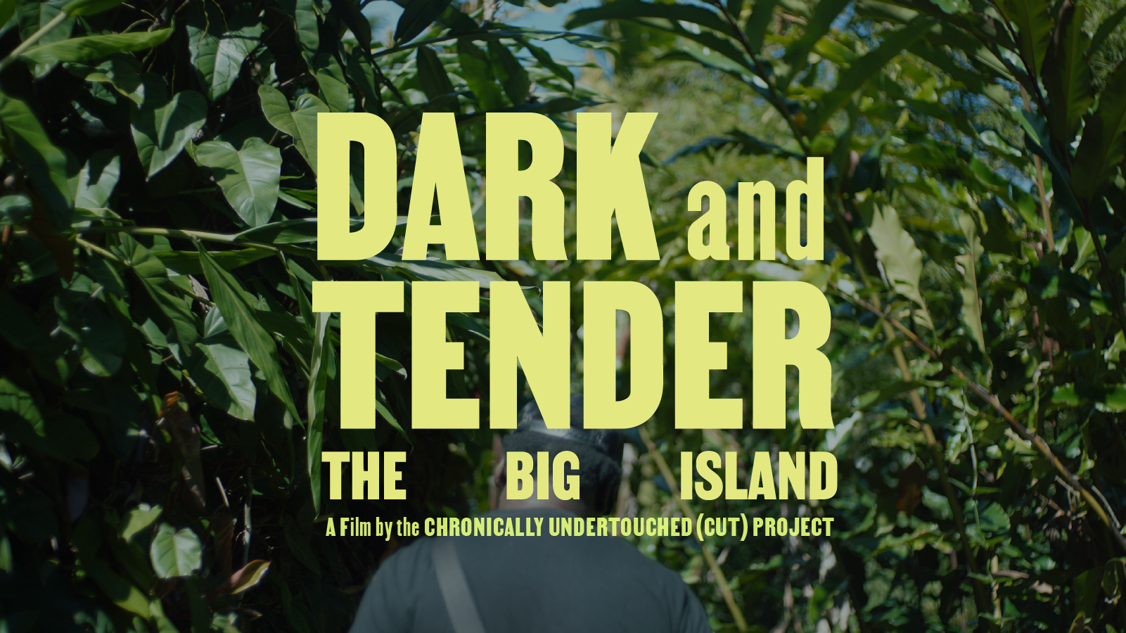 Campaign cover image for SIFF | "Dark and Tender: The Big Island" Debut