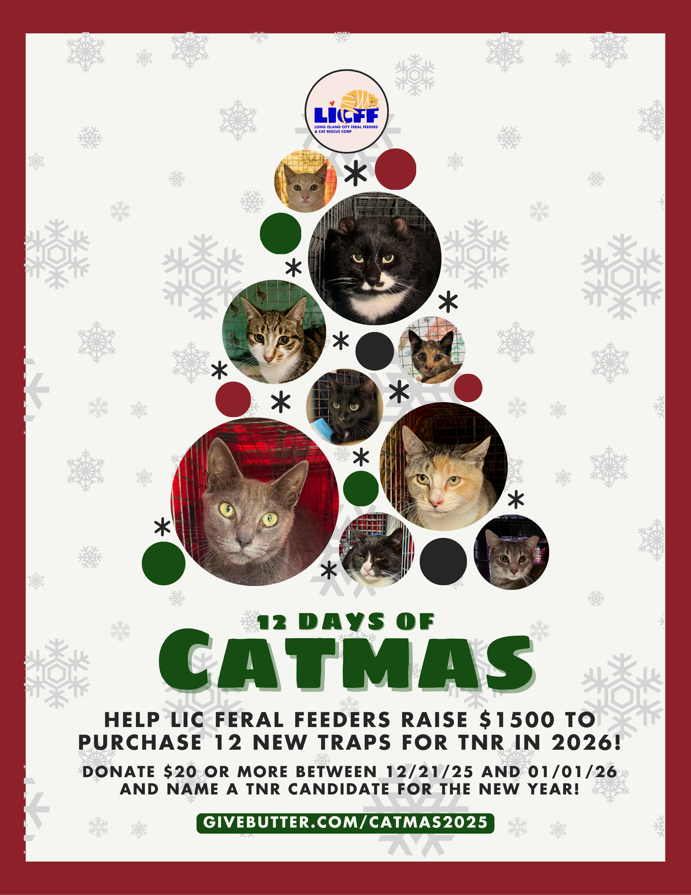 Campaign cover image for 12 Days of Catmas 2025