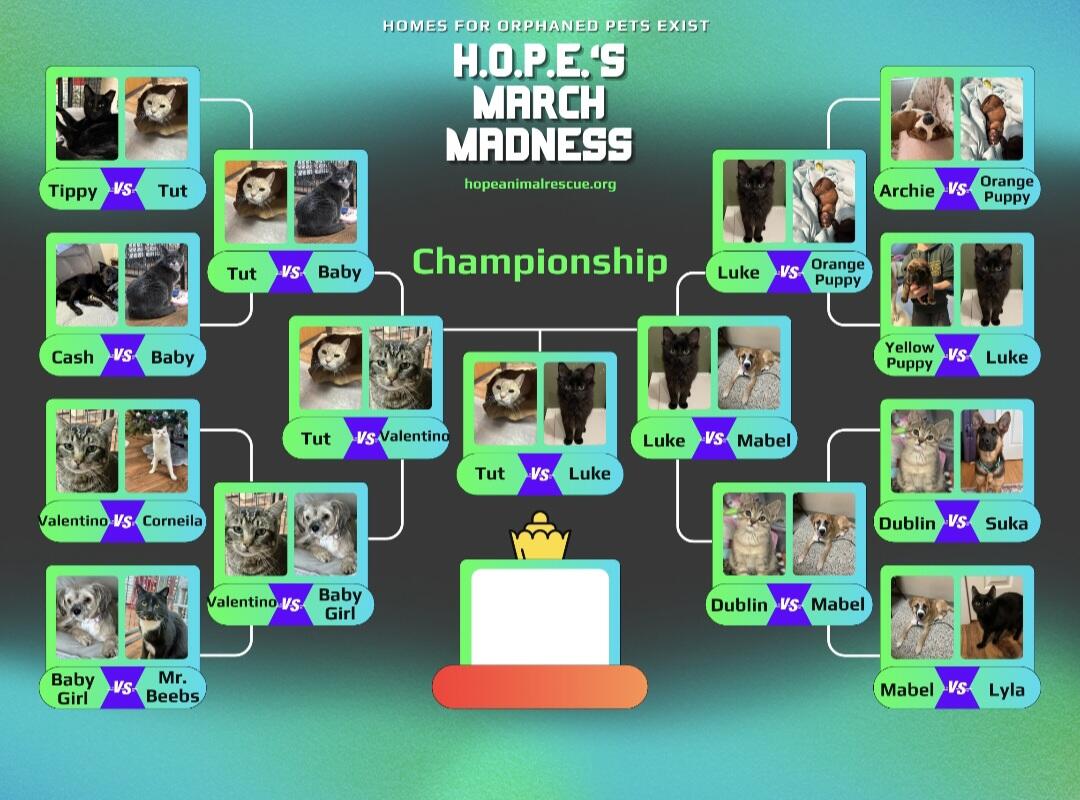 Campaign cover image for H.O.P.E.'s March Madness