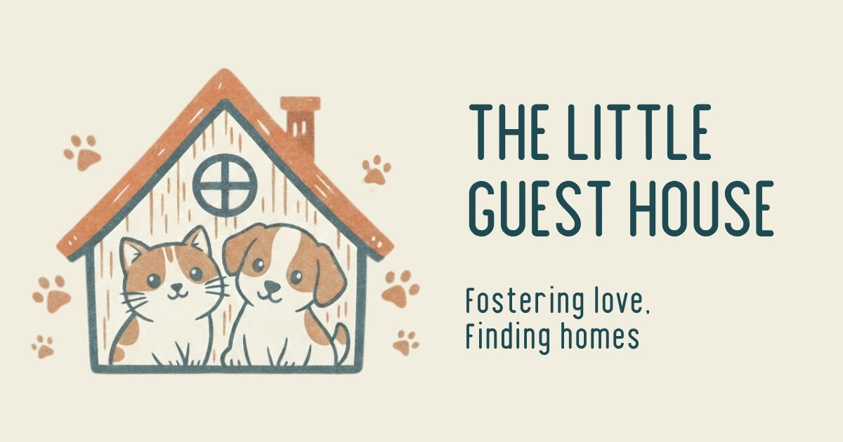 Campaign cover for Support Flying Dog Rescue