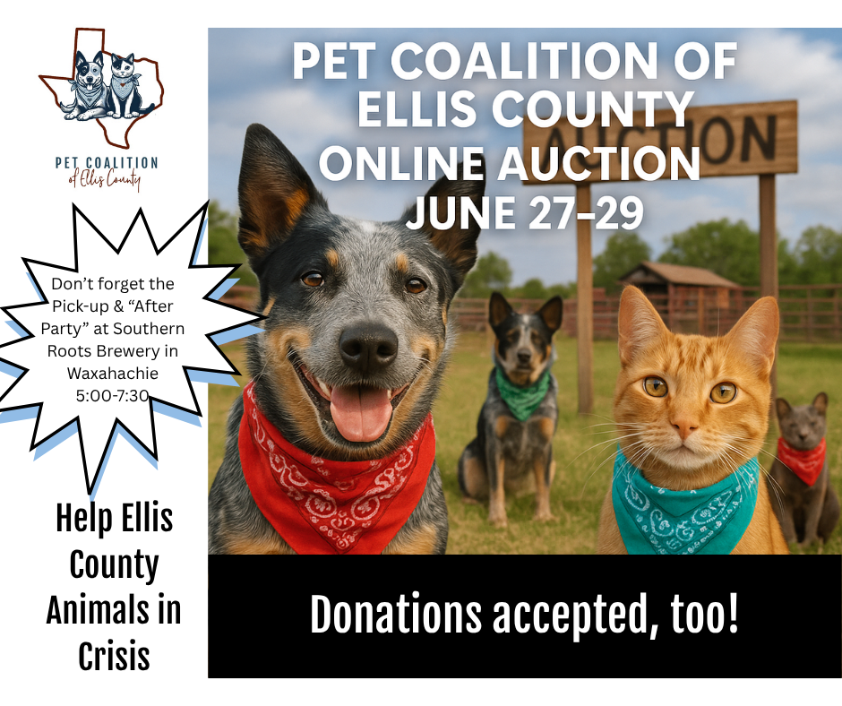 Campaign cover image for Paws for Hope