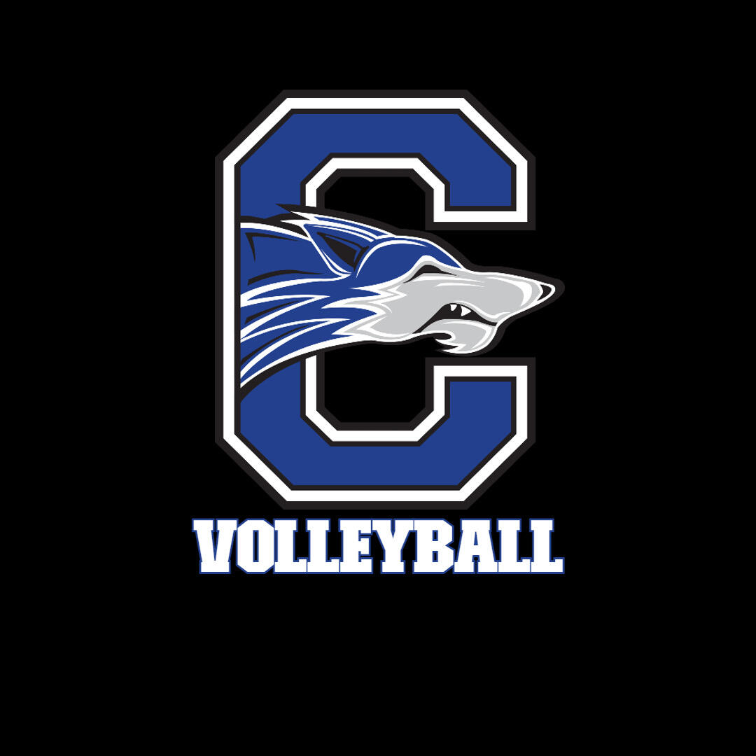 Campaign cover image for Chandler Men's Volleyball Fundraiser
