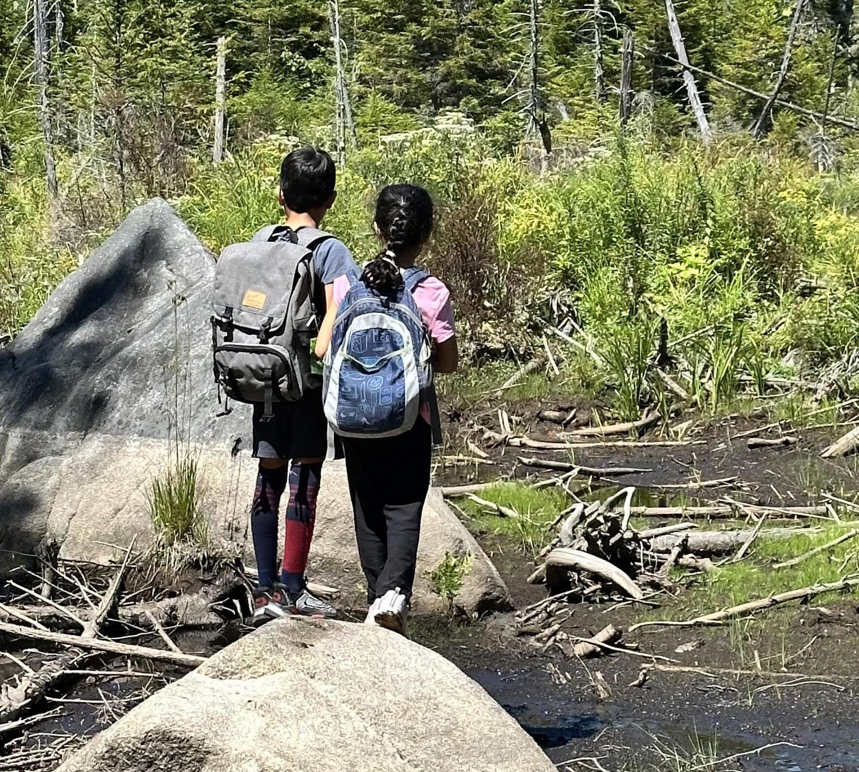 Campaign cover image for CVRAN Fall Fundraiser 2025