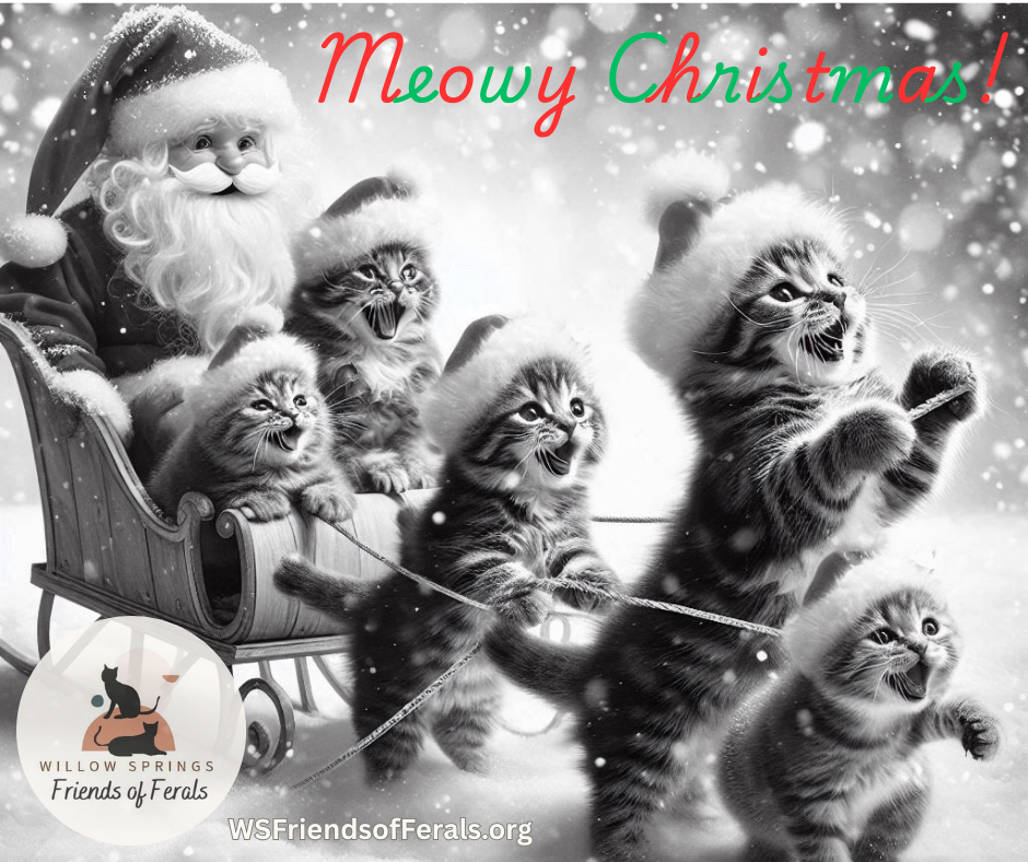 Campaign cover image for Friends of Ferals