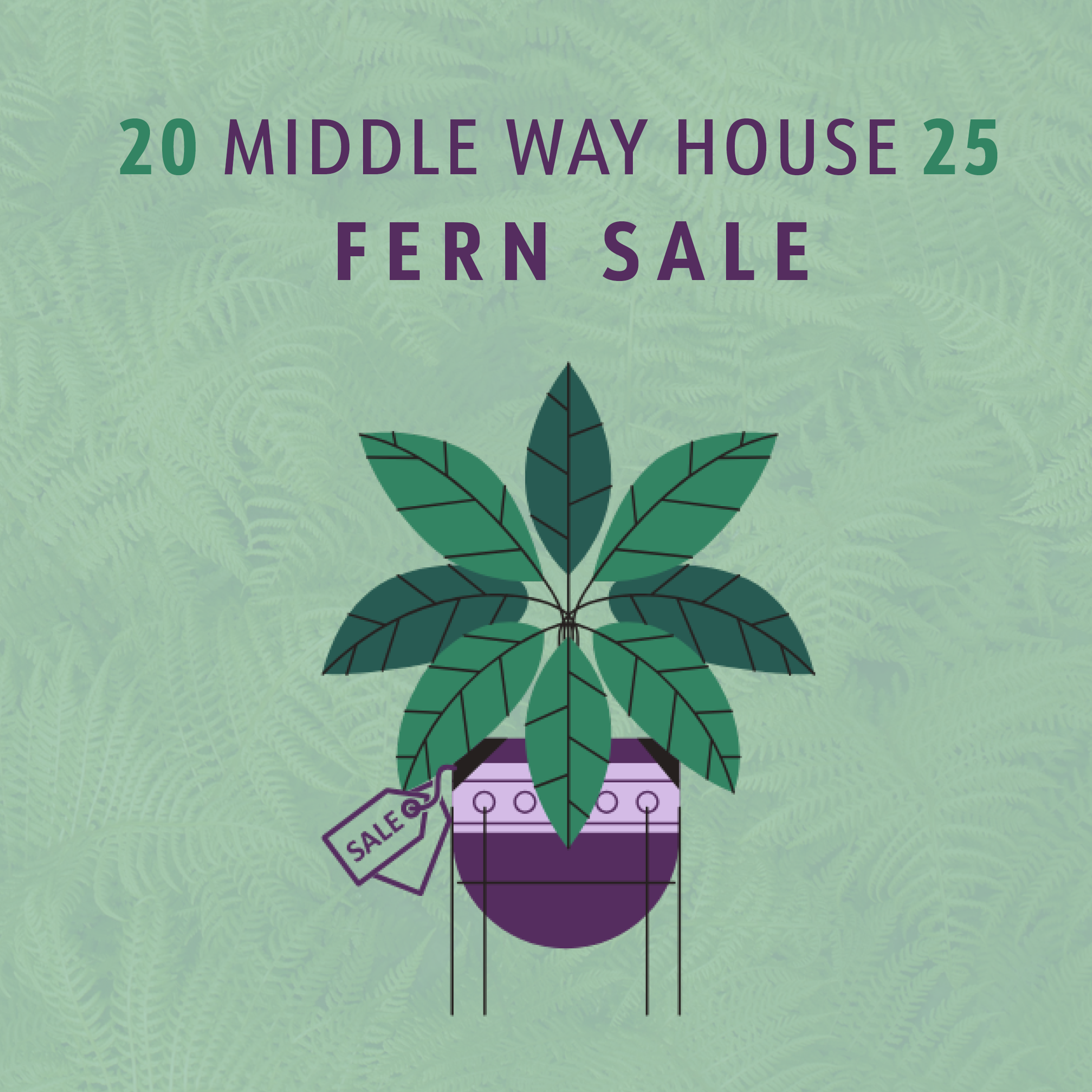Campaign cover image for Middle Way House Fern Sale 2025