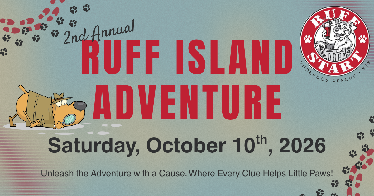 Campaign cover image for Ruff Island Adventure