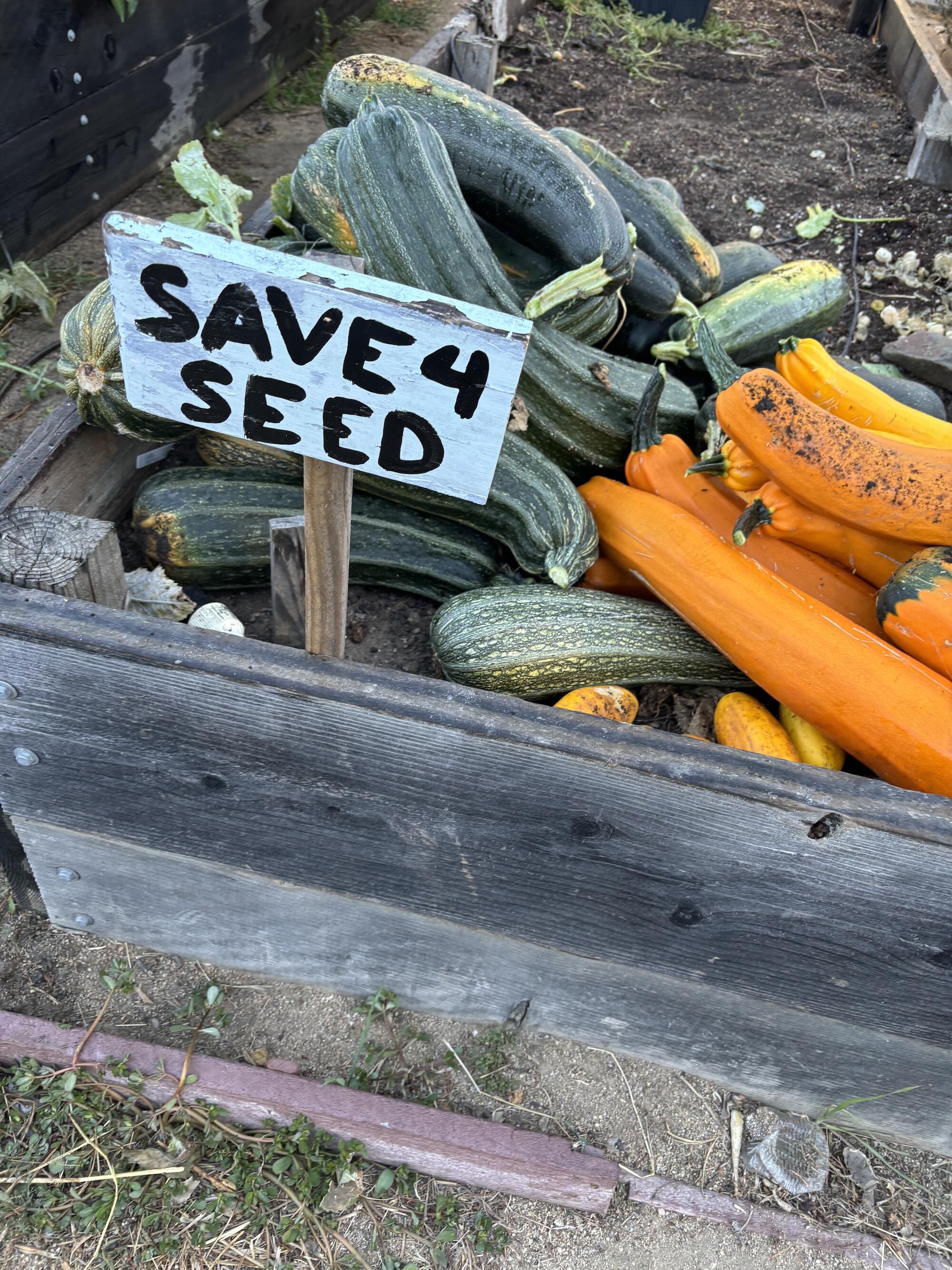 Campaign cover image for Seed Saving in Community