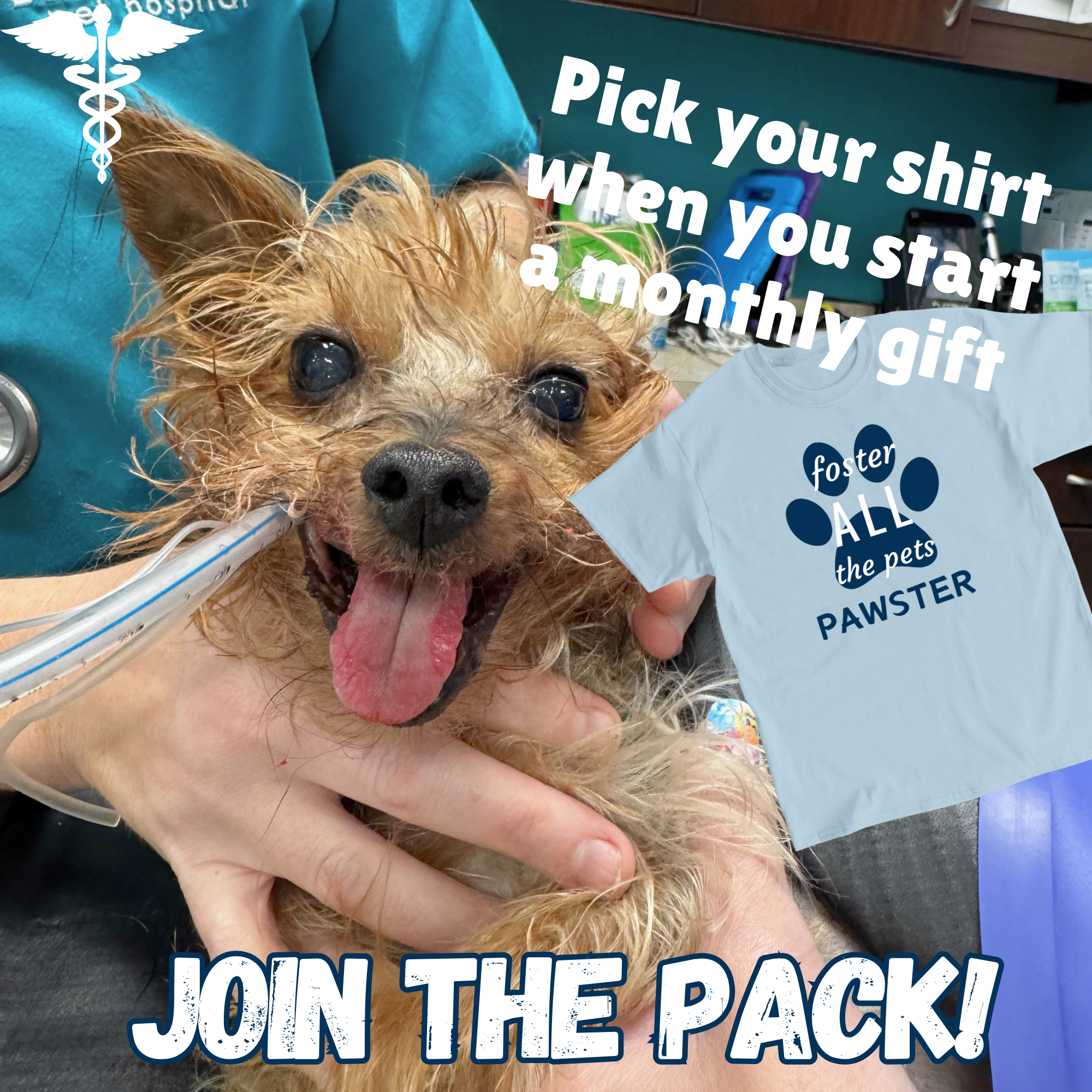 Campaign cover image for Join the Monthly Donor Pack