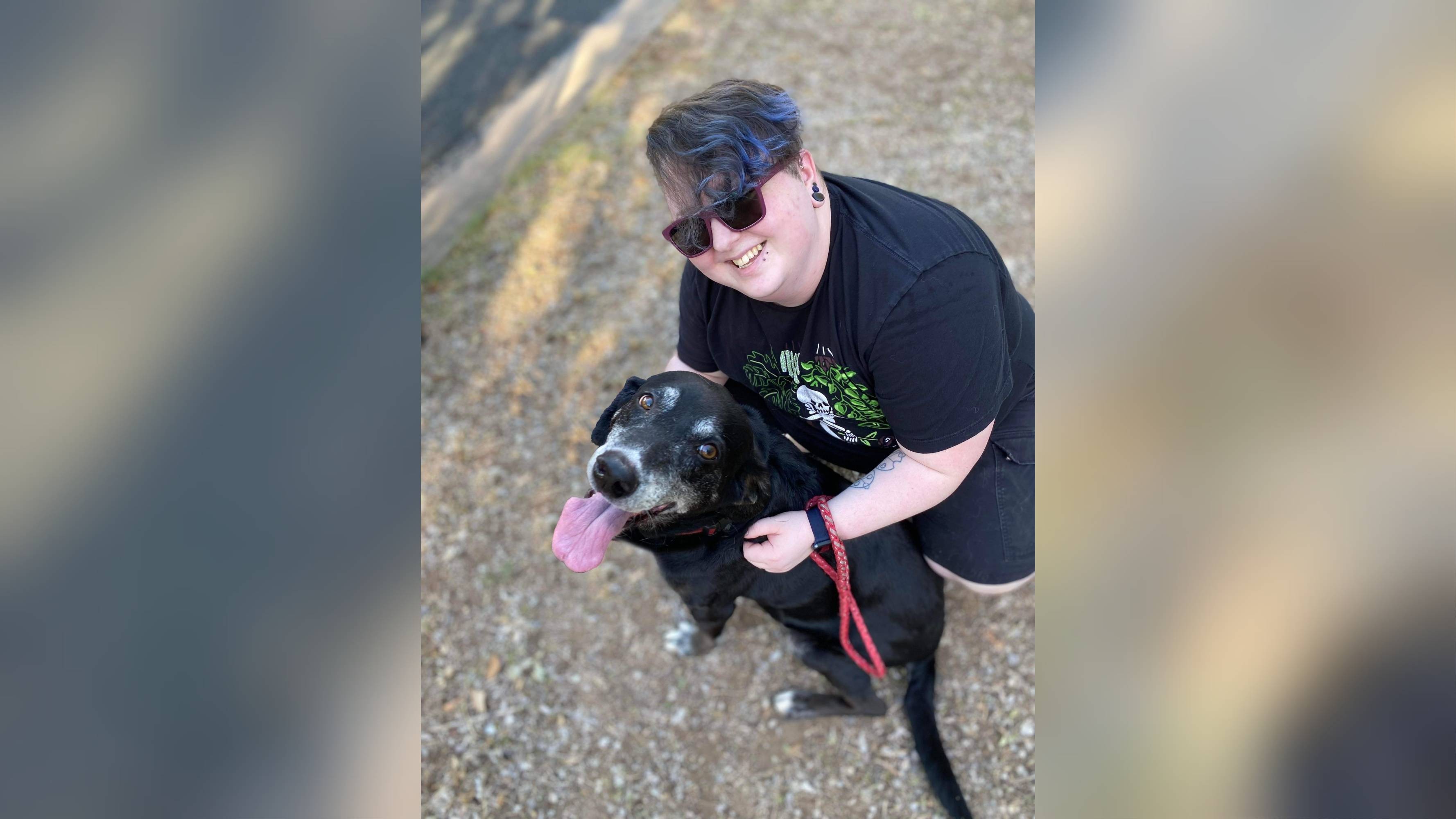 Campaign cover image for Help Logan with funeral costs + end of life care for their emotional support dog