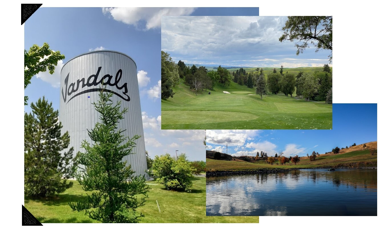 Campaign cover image for Wildcat Golf '23