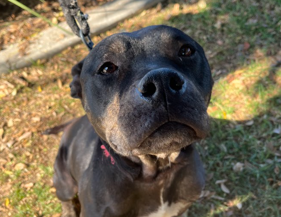 Campaign cover image for Marni’s Path to Wellness