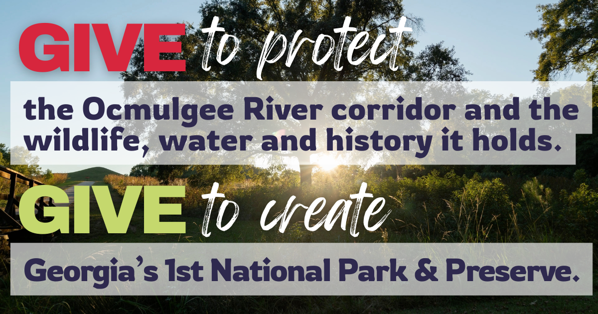 Campaign cover image for Give to Protect. Give to Create.