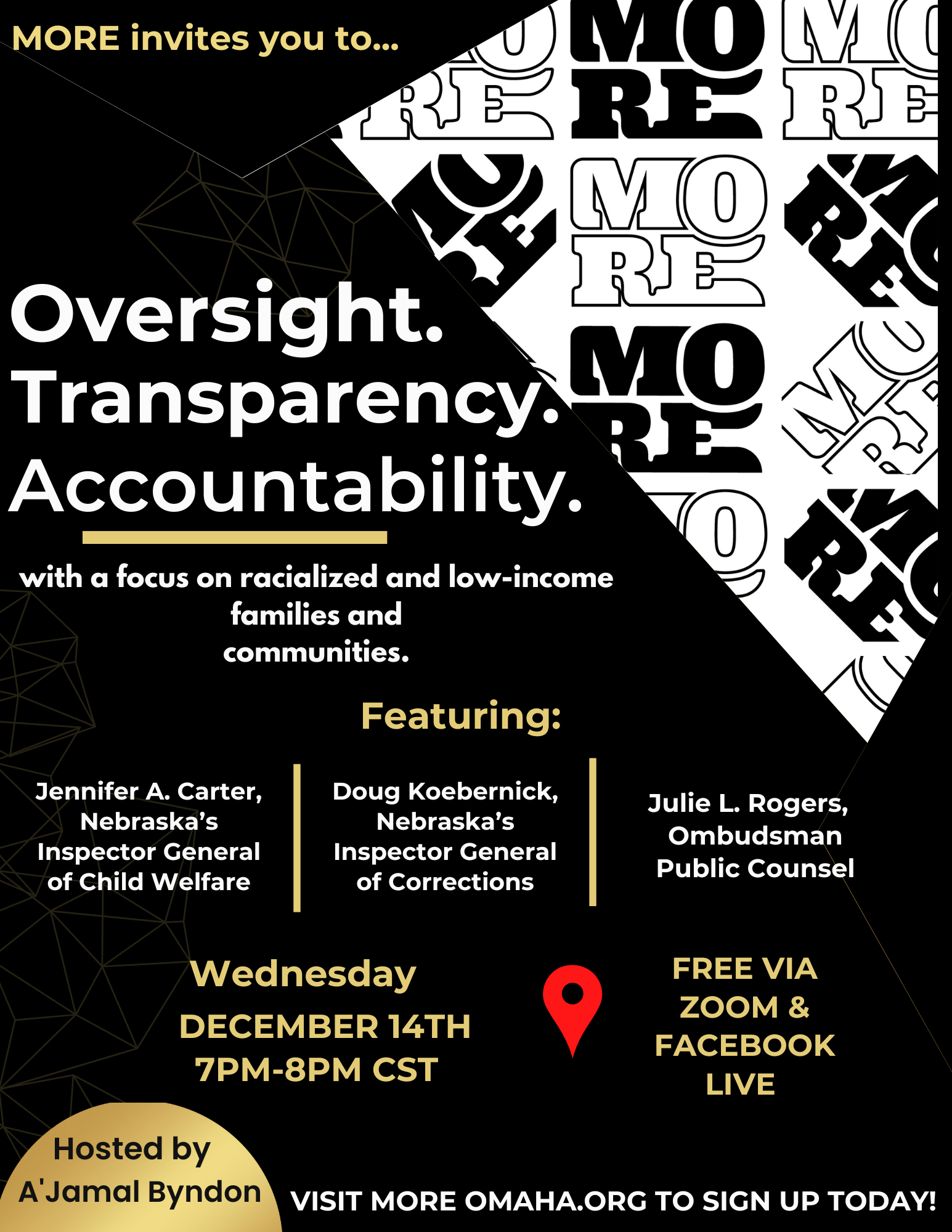 Campaign cover image for Oversight. Transparency. Accountability.