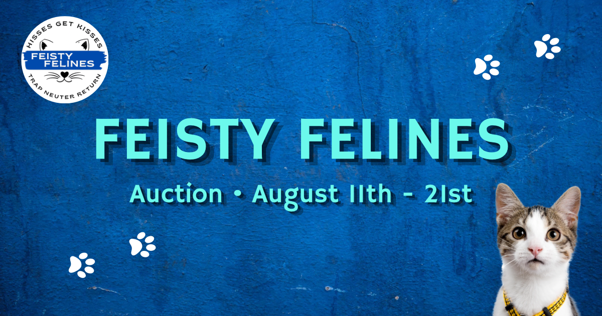 Campaign cover image for Feisty Felines Auction