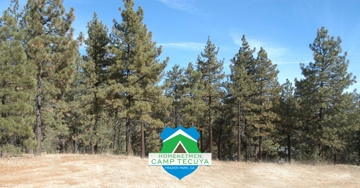 Campaign cover image for Adopt a Tree at Homenetmen Camp Tecuya