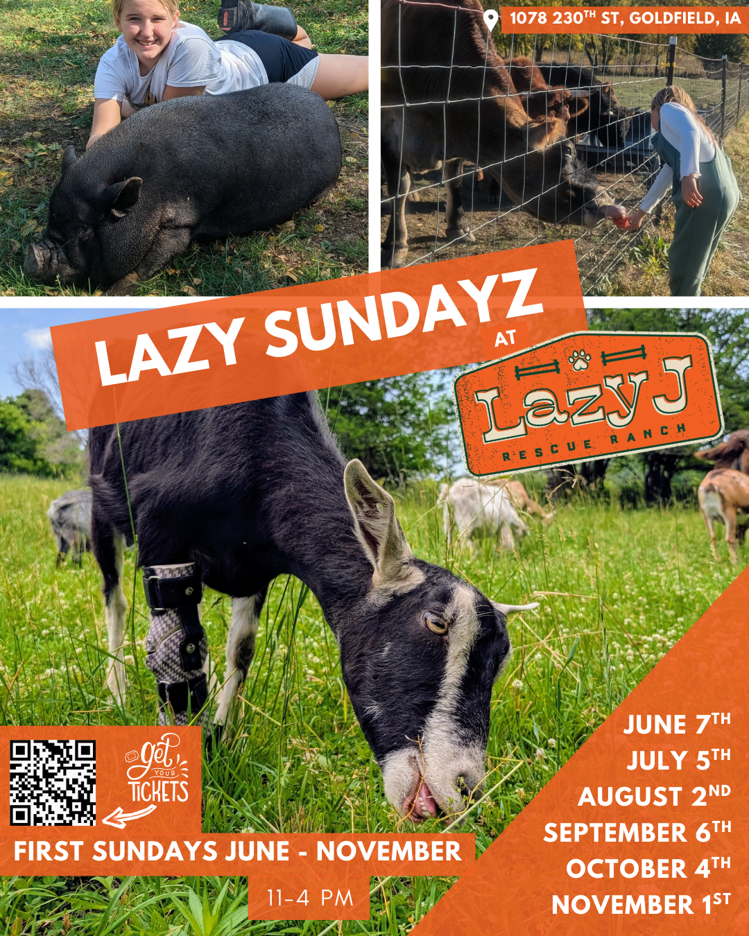 Campaign cover image for Lazy Sundayz at Lazy J Rescue Ranch