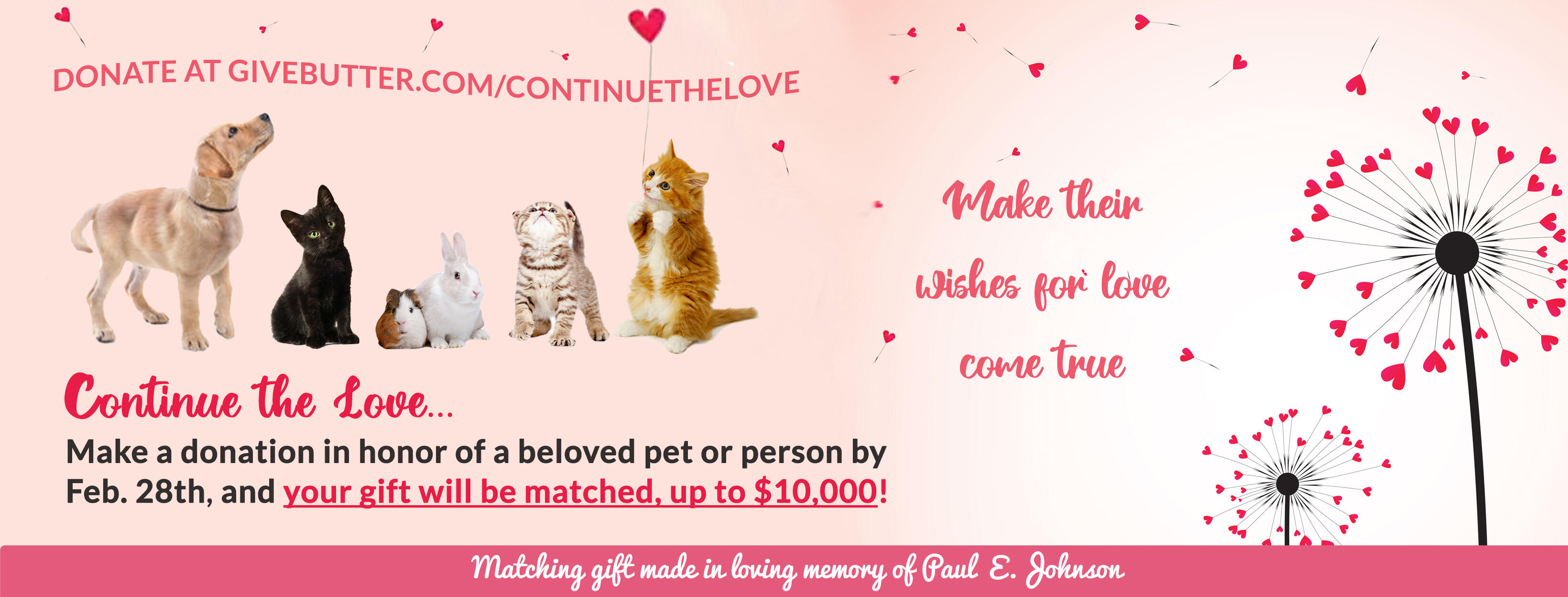 Campaign cover image for Continue the Love this February