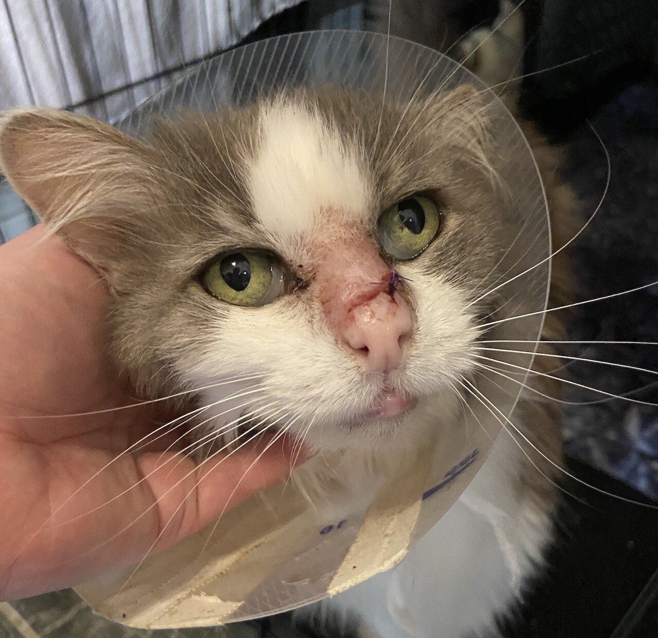 Campaign cover image for Continuous Support through Recurring Donations