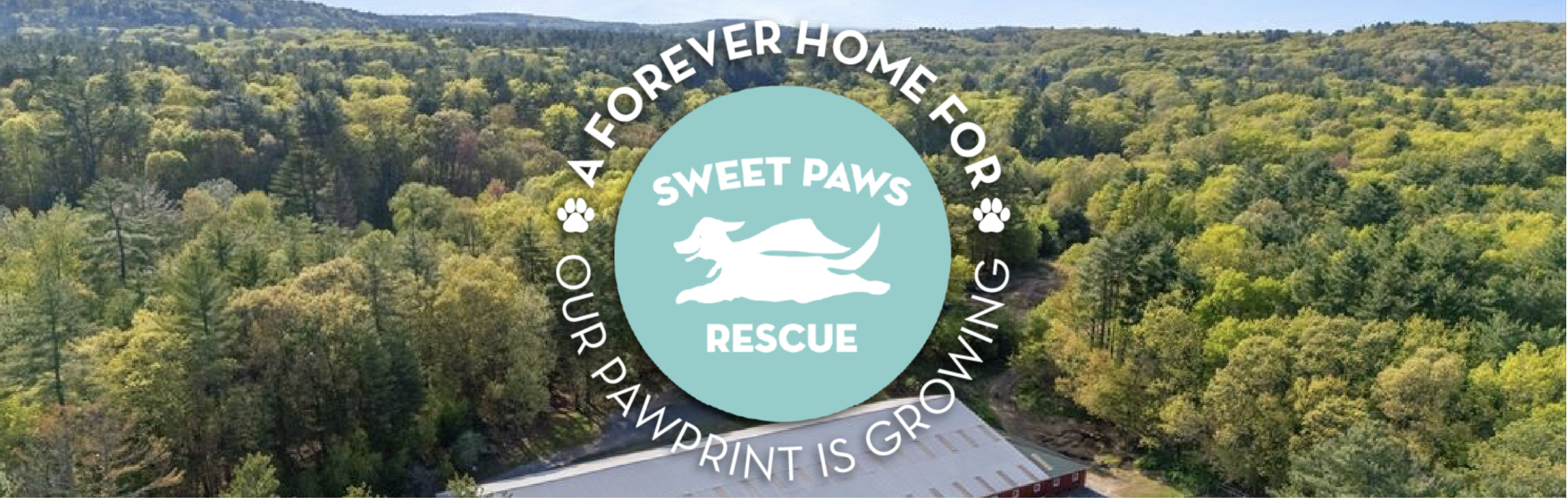 Campaign cover for A Forever Home For Sweet Paws Rescue