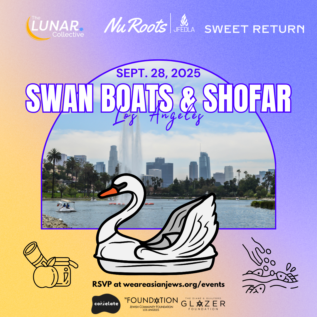 Campaign cover image for Swan Boats & Shofar