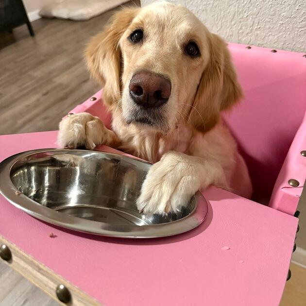 Campaign cover image for Win a Perfect Sanibel Day & Help Save Angel