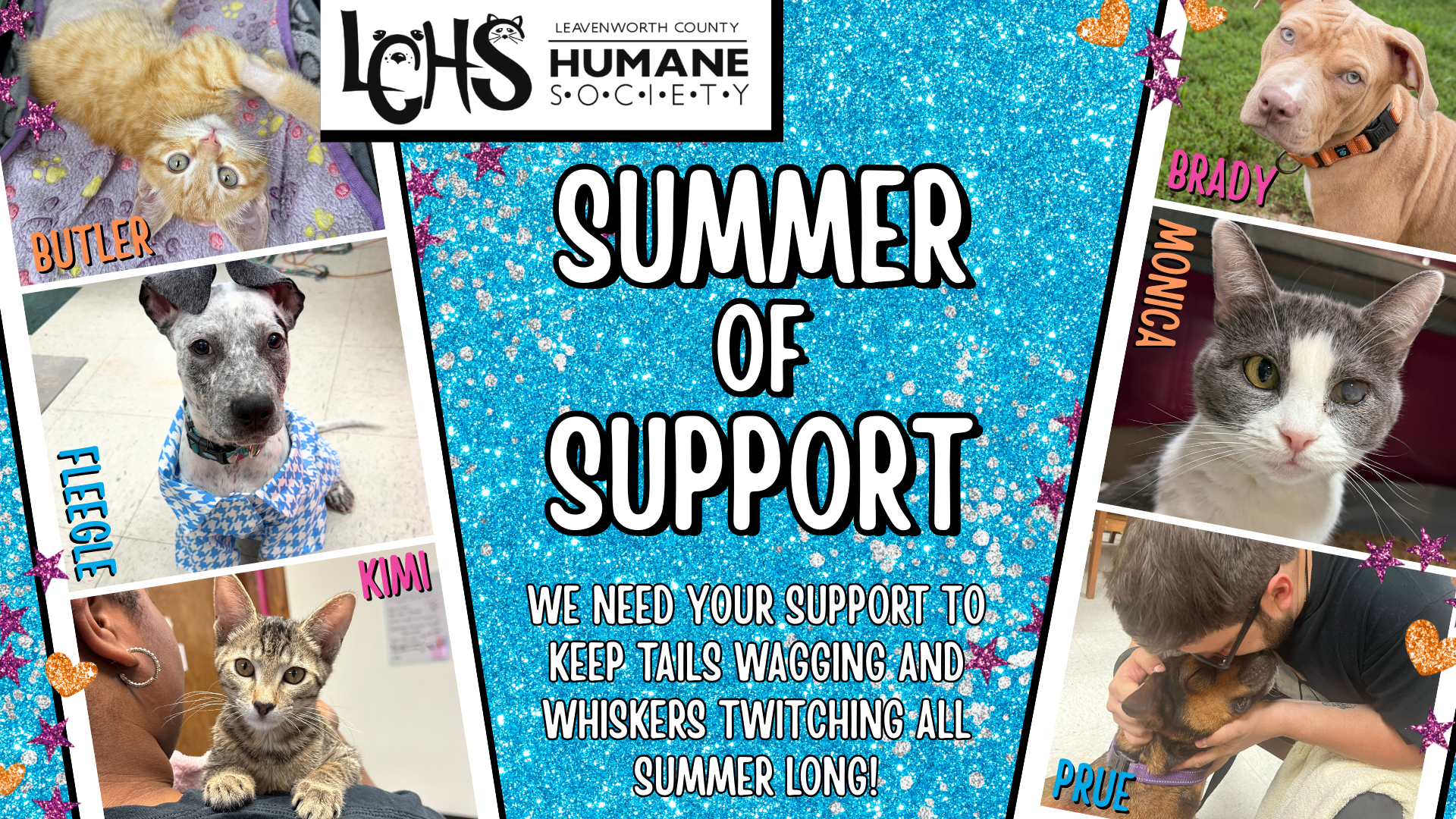 Campaign cover image for Summer of Support