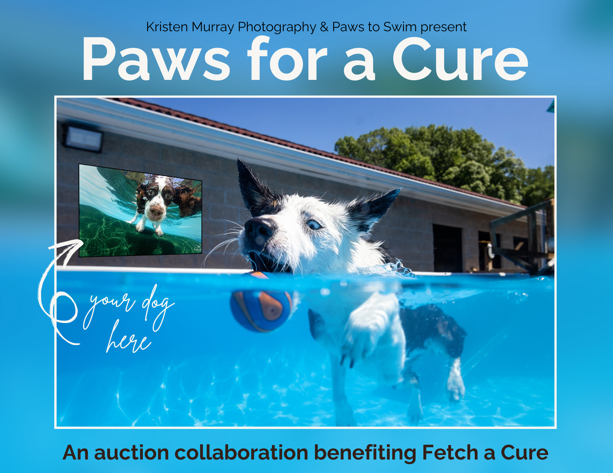 Campaign cover image for Paws for a Cure
