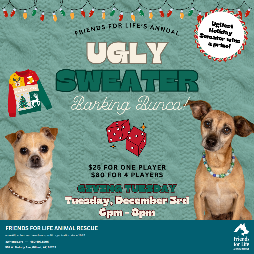 Bissell Pet Foundation Animal Welfare Organizations Near Me