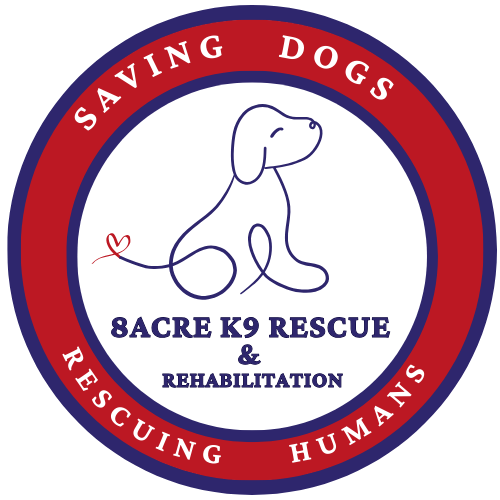 Campaign cover image for Donate Button