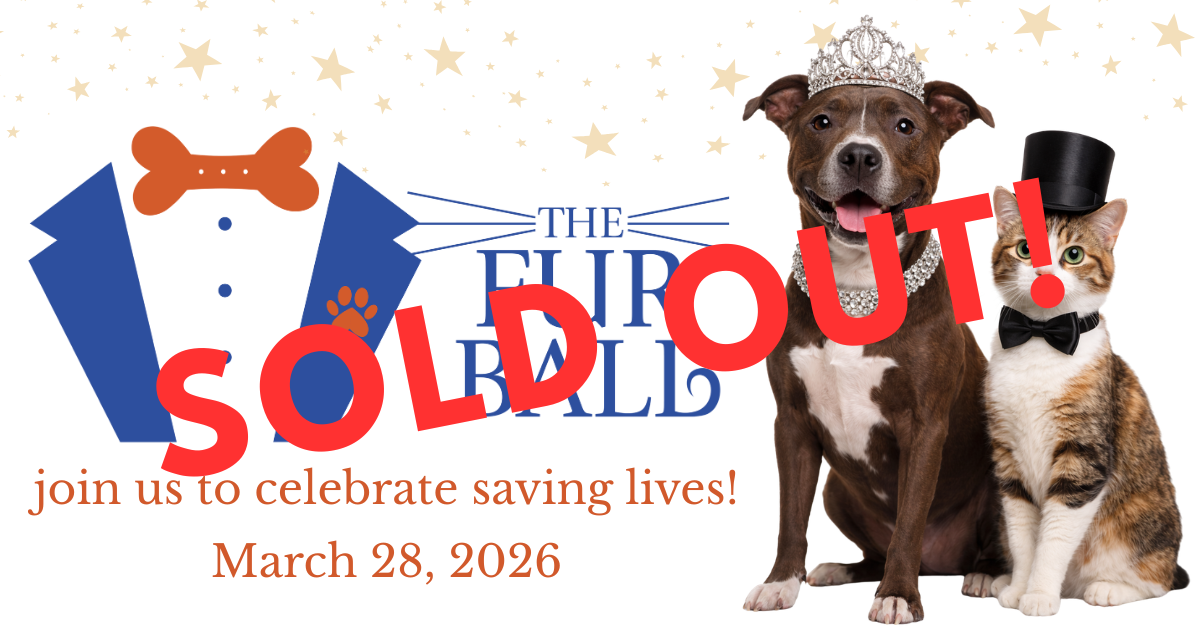 Campaign cover image for The Fur Ball 2026