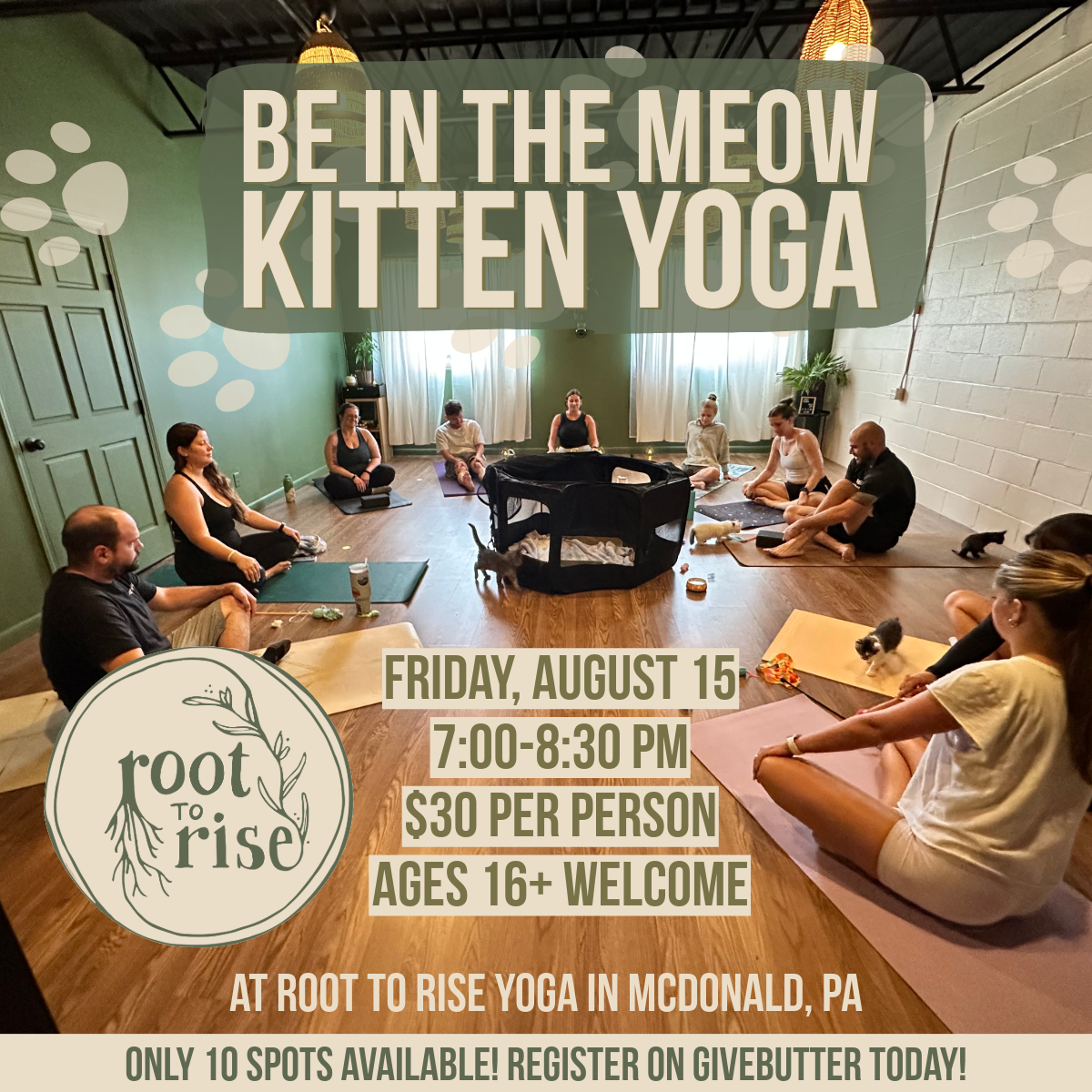 Campaign cover image for Be in the Meow Kitten Yoga
