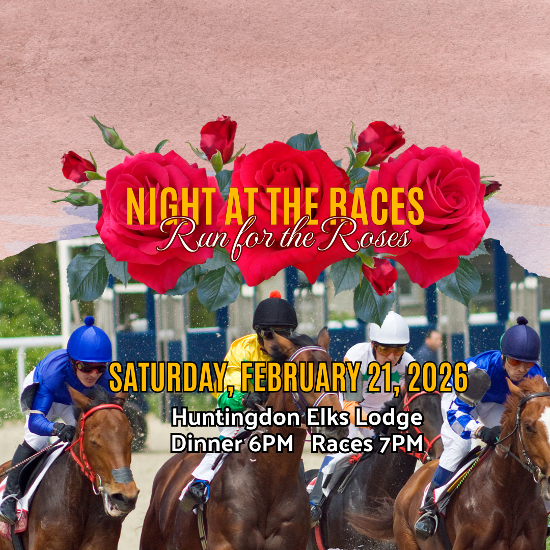 Campaign cover image for 2026 Night at the Races