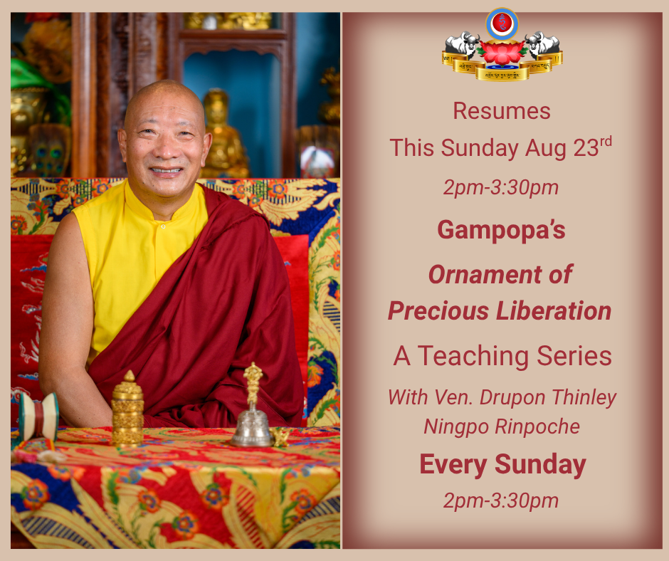 Campaign cover for Drupon Rinpoche Teaching Series on The Precious Ornament of Liberation